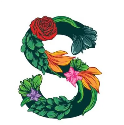 S. Sushis.
Doù viennent les sushis ?