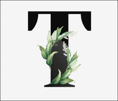 T. Tortillas.
Que met-on dans les tortillas ?