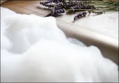 Mousse : Quel groupe a chanté "Ça mousse" dans les années 2000 ?