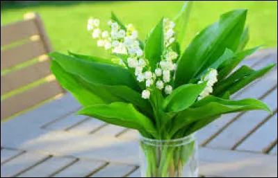 Muguet : Durant quel jour de l'année peut-on offrir ou vendre cette fleur ?