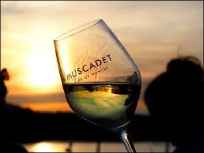 Muscadet : Quel type de vin est-il ?