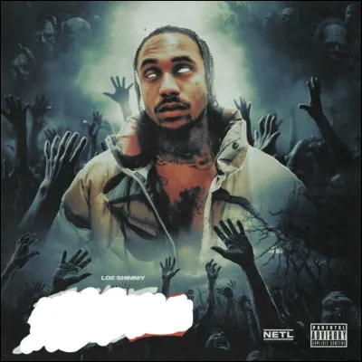 Quel est cet album de LOE Shimmy ?