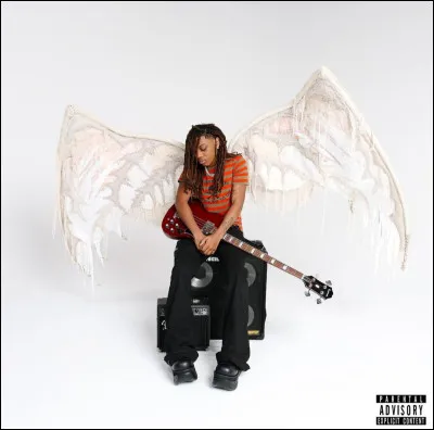 Quel est cet album de tana ?