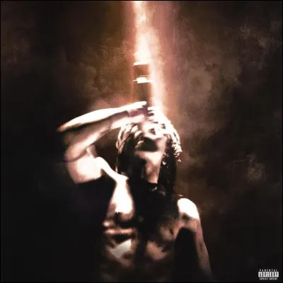 Quel est cet album de Desire ?