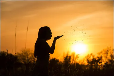 Ce MOU s'associe à un défaut pour donner. ..