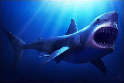 Le mégalodon a-t-il existé ?