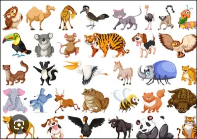 Quel est ton animal préféré ?