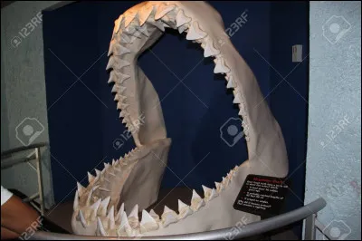 Le "casse-mâchoire" n'est pas une arme de malfaiteurs mais.... un bonbon québécois !