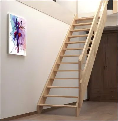 J'ai monté les [escalier].