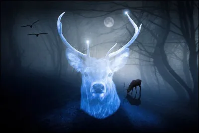 Dans la saga "Harry Potter", quel personnage possède un cerf comme Patronus ?