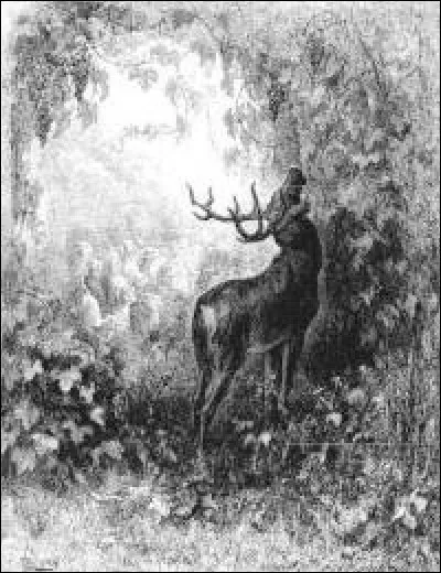 Quel est le titre de cette fable de Jean de la Fontaine ?