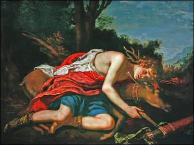 Dans la mythologie grecque, quel jeune homme est transformé en cyprès après avoir tué accidentellement son cerf aux bois d'or, offert par Apollon ?