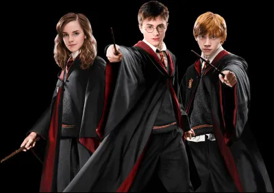 Si tu vivais dans ''Harry Potter'', quel statut de sang voudrais-tu avoir ?