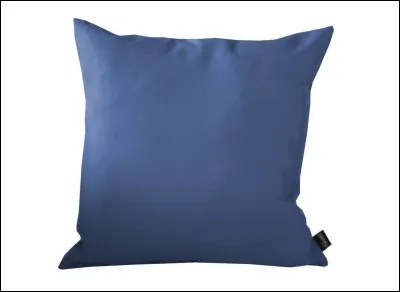 Quel est cet objet ?