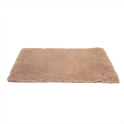 Quel est cet objet ?