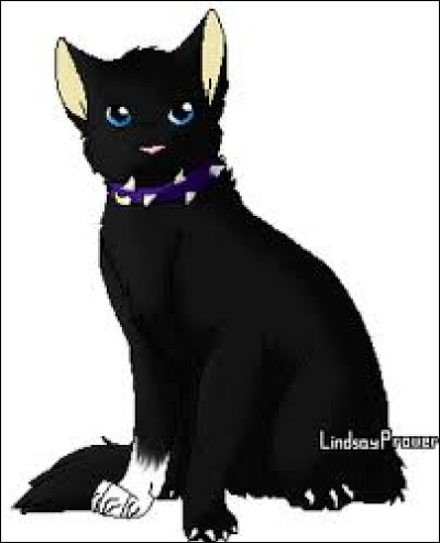 Qui est son demi-frère ? (Celui dont on parle le plus)