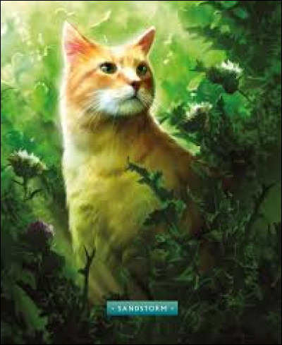 Qui est sa compagne ?