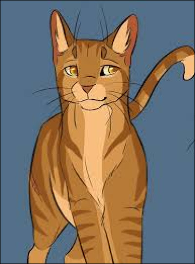 Qui sont leurs chatons ?