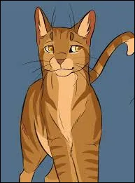 Qui sont leurs chatons ?