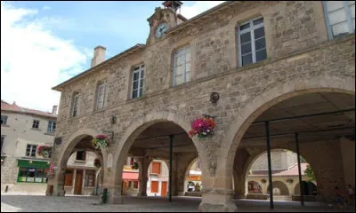 Quelle est cette petite ville de 3 400 habitants située dans le nord-est du département ?