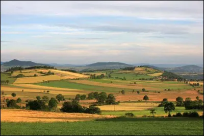 Quelle est cette région étendue sur lest du département, comprenant des massifs volcaniques et la haute vallée de la Loire ?