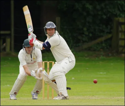 Ce sport est du criquet.