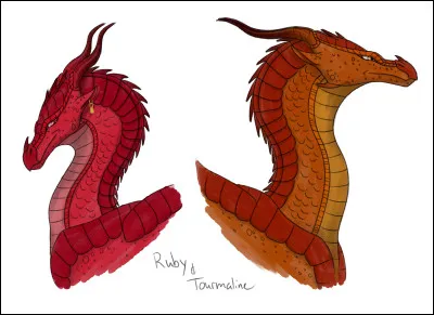 Finalement, qui était Tourmaline et qui était Ruby ?