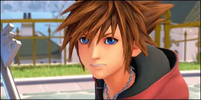 Qui est la voix de Sora, dans la saga des "Kingdom Hearts" ?
