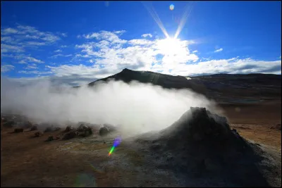 Le nom usuel de la courtilière, c'est...