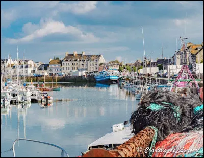 Quel est ce village, situé sur la côte est du Cotentin, connu pour ses ouvrages du système défensif de Vauban ?