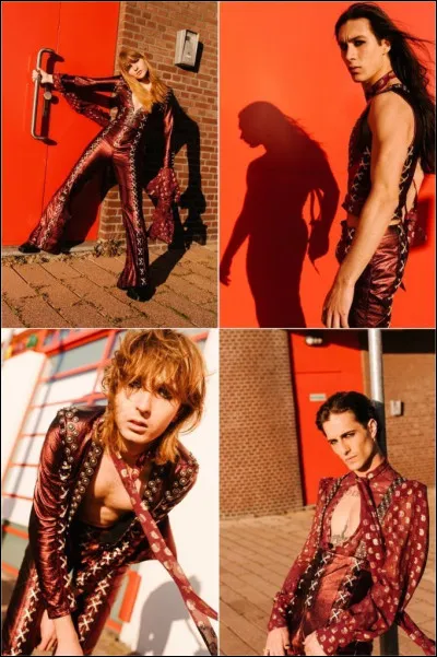 Ensuite, de quel groupe fait-il partie ?