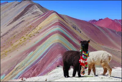 La montagne Vinicunca est surnommée la "montagne aux sept couleurs" et se trouve en Amérique du Sud. Dans quel pays se situe-t-elle ?