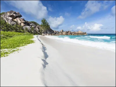 Ces paroles sont un extrait d'une chanson : "Qui a couru sur cette plage / Elle a dû être très belle / Est-ce que son sable était blanc / est-ce qu'il y avait des fleurs jaunes dans le creux de chaque dune ? / J'aurais bien aimé toucher du sable / Une seule fois, entre mes doigts...". Quel est le titre de cette chanson ?
