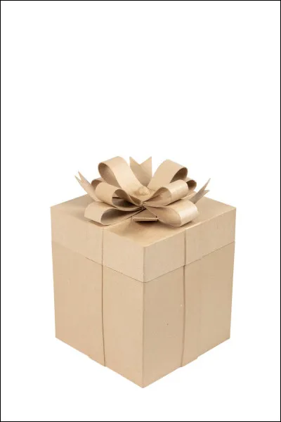 Que pr&eacute;f&eacute;rerais-tu comme cadeau ?