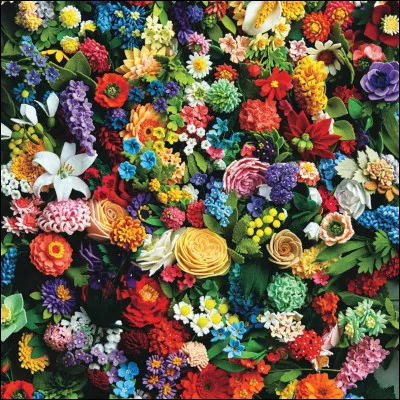 Quelle est ta fleur pr&eacute;f&eacute;r&eacute;e ?