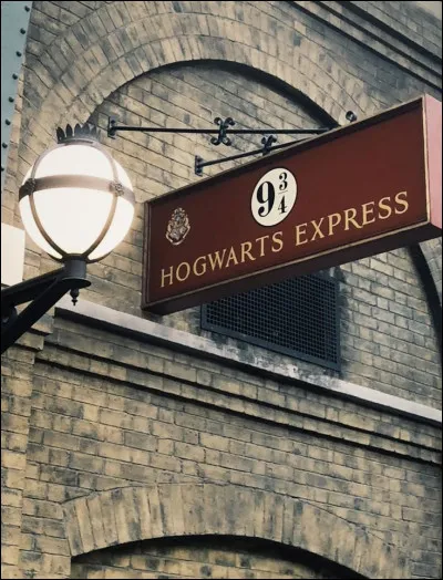 Tu arrives au quai 9 3/4. Qui aimerais-tu rencontrer dans le train ?