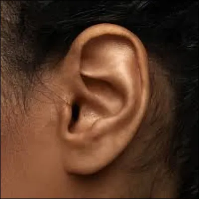 On recherche le prénom d'un pilote automobile :