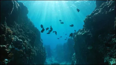 Quel est le point le plus profond de locéan connu à ce jour ?