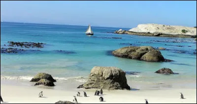 Le cap des Aiguilles est la pointe la plus méridionale de l'Afrique, situé :