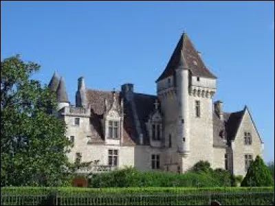 Joséphine Baker a acheté un château pour accueillir sa grande famille, de quel château s'agit-il ?