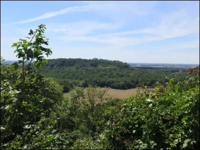 Quelle est cette région forestière, étendue sur l'ouest du département, aux limites de la Champagne et de la Lorraine, sorte de marche naturelle sétendant entre les vallées de la Marne et de la Meuse ?