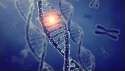 Pourquoi Peeta veut-il tuer Katniss ?