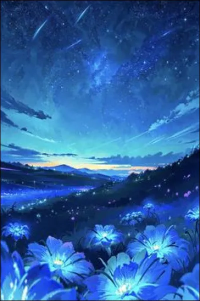 Combien y a-t-il de districts ?