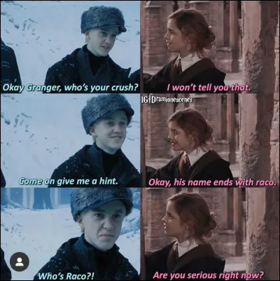 Harry où Hermione ? Qui préfères-tu ?