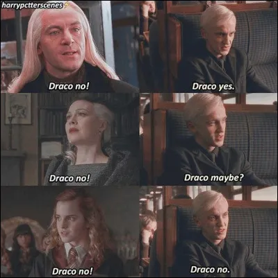 Tu lui expliques tout : tu es fou de lui/d'elle, tu l'aimes, blablabla...
Mais, comment réagit-il/elle ?