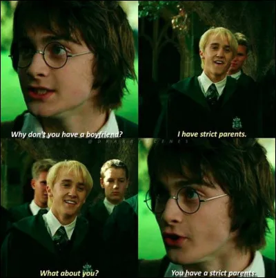 Ok ! Fin de la mise en situation !
Qui penses-tu préférer ? Drarry ou Dramione ?