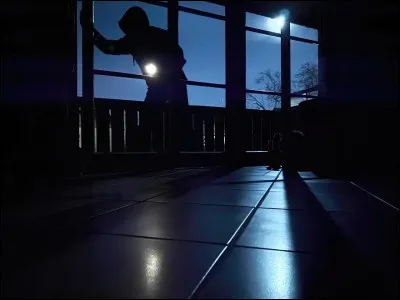 Le joueur passait sans aucune difficulté de court en court.