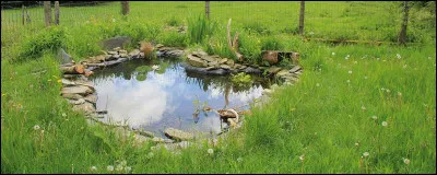 Km 18,4 : Chambolle-Musigny. Le vignoble produit des vins AOC grand cru et premier cru. Le grand cru est le musigny, citez le second :