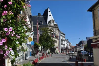 Quelle est cette ville de 5 800 habitants, située sur un plateau, au débouché des vallées pyrénéennes, et arrosée par plusieurs affluents de la Garonne ?