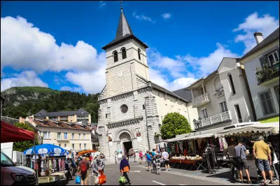Quelle est cette petite sous-préfecture de 2 800 habitants, entourée des premières hauteurs des Pyrénées, située sur le gave de Pau au sud de Lourdes ?
